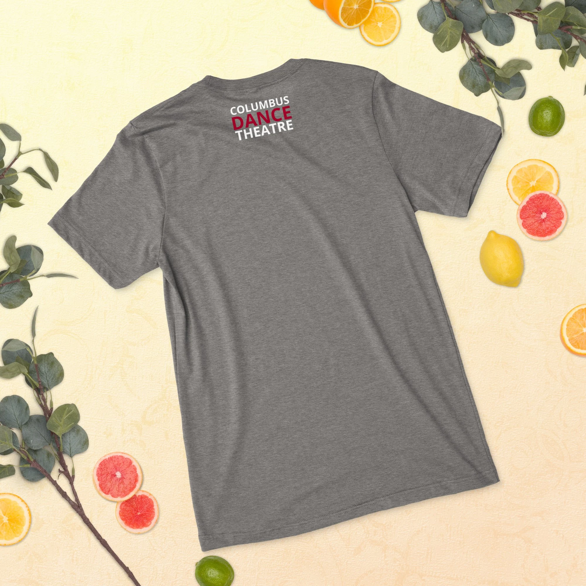 unisex-tri-blend-t-shirt-grey-triblend-back-68b9aae119c4c.jpg