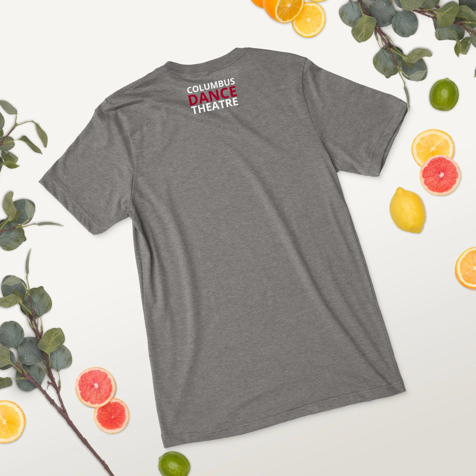 unisex-tri-blend-t-shirt-grey-triblend-back-2-68b9aae11d497.jpg