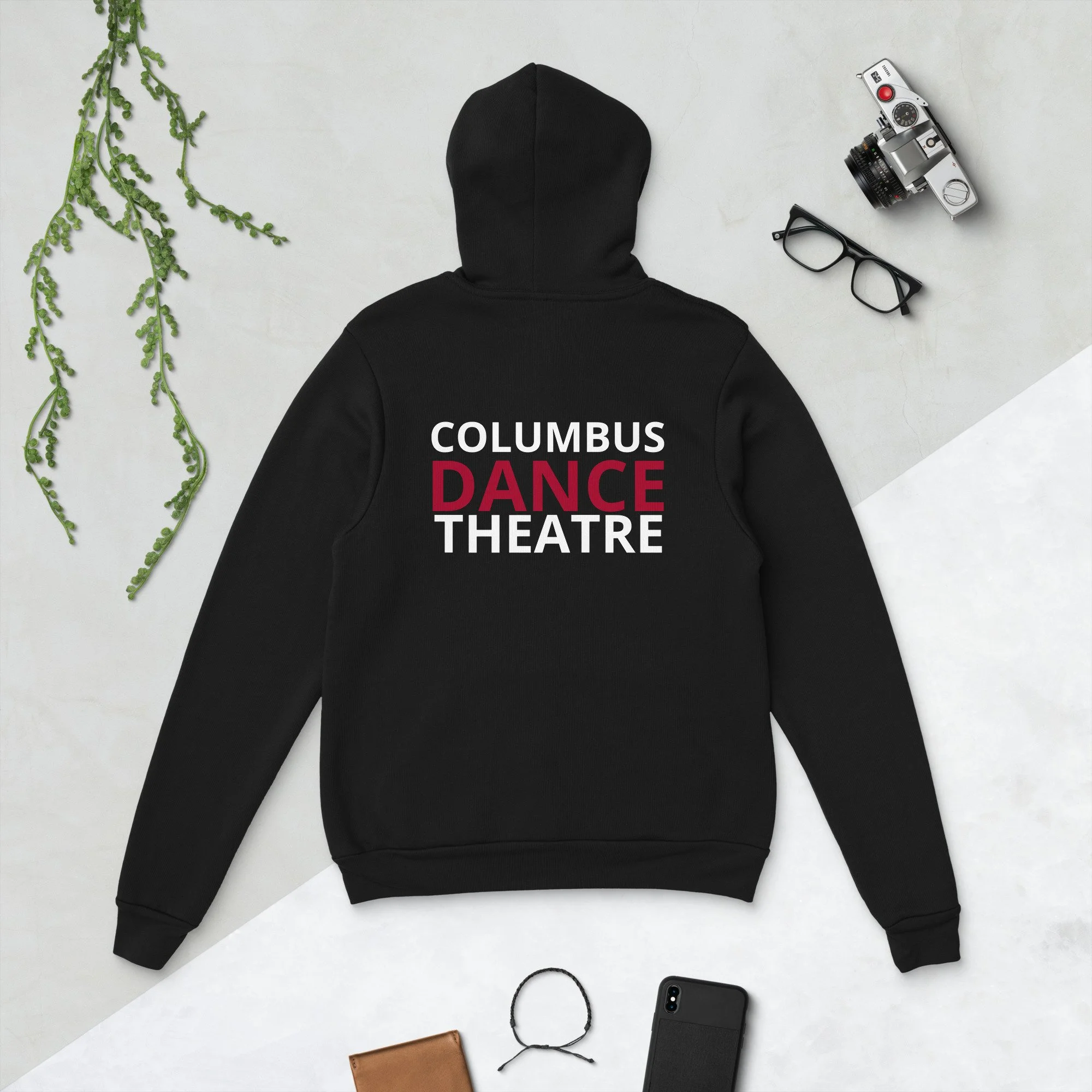unisex-pullover-hoodie-black-back-68b9ab6d78973.jpg