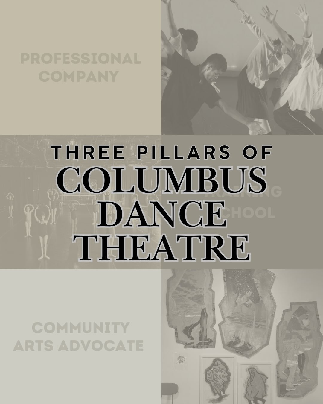 Three Pillars of CDT:

&bull; Professional Company 
&bull; Training School 
&bull; Community Arts Advocate

CDT is modeled after a Performing Arts School, where our Professional Company and Training School work together to support dancers at every st