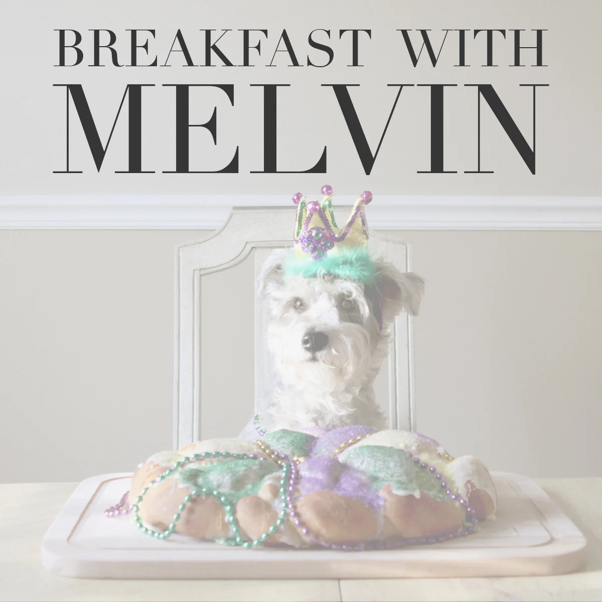 Melvin SeriesCover.jpg
