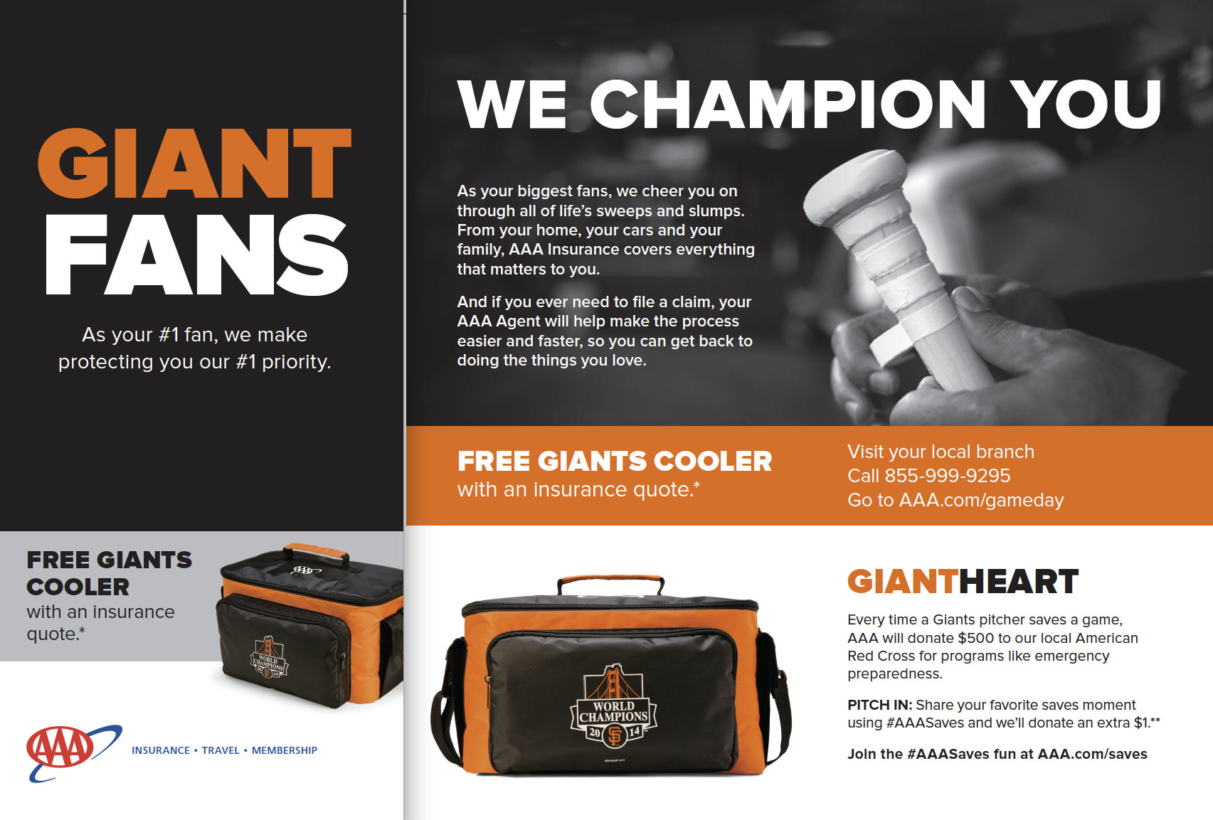 Brochure inside AAA branches