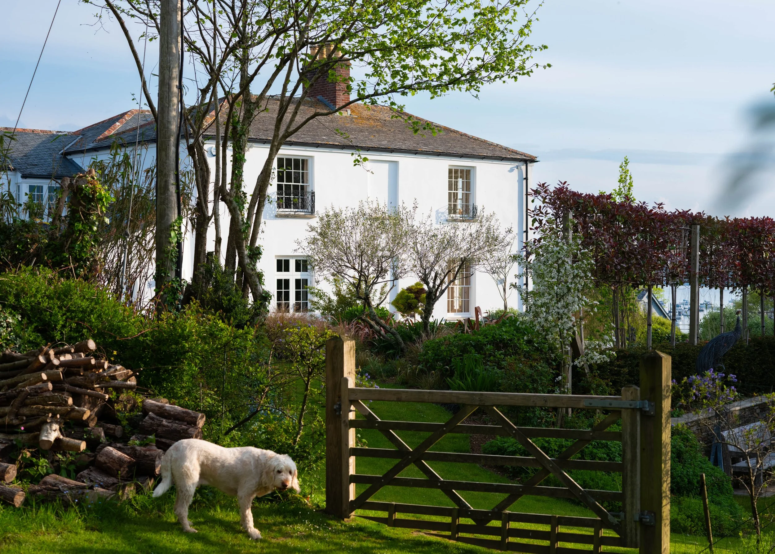 The Old Vicarage TR11-8.jpg