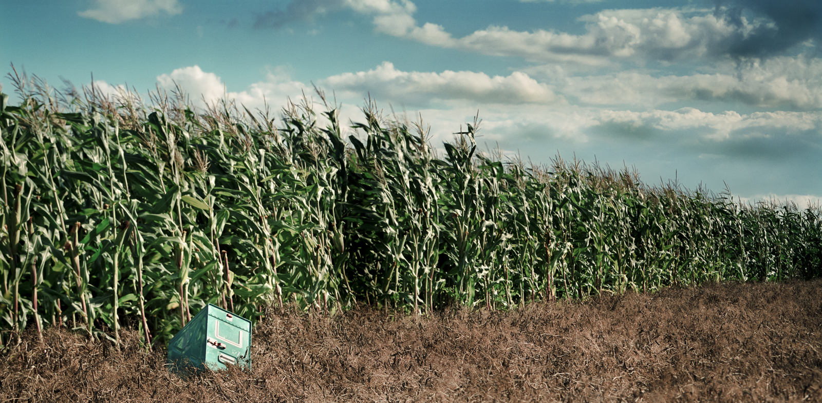 Corn_Field_With_Artefact_version_2_epsontest.jpg