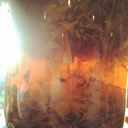 I love watching infused herbs. They look like releasing the power of beauty into the water