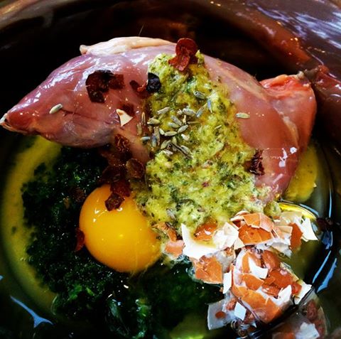 Shall we get some rabbit today?