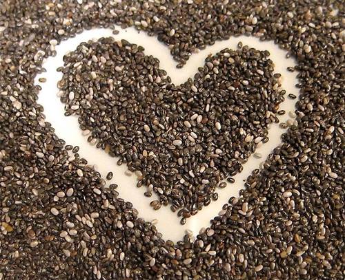 Chia seeds are super food for people and dogs.