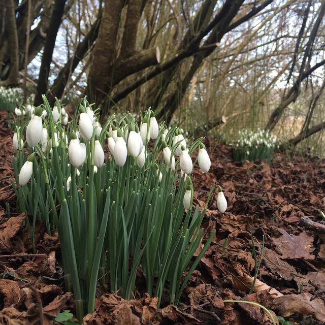 Spring is already here.