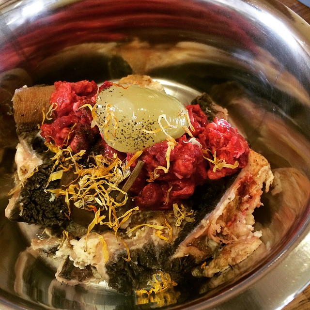 Just naturally jelly bone broth makes perfect holistic meal for your dogs!