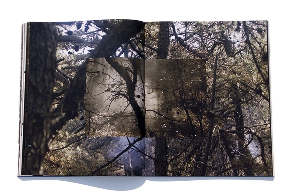 big4.2 buchet. jpg.jpg