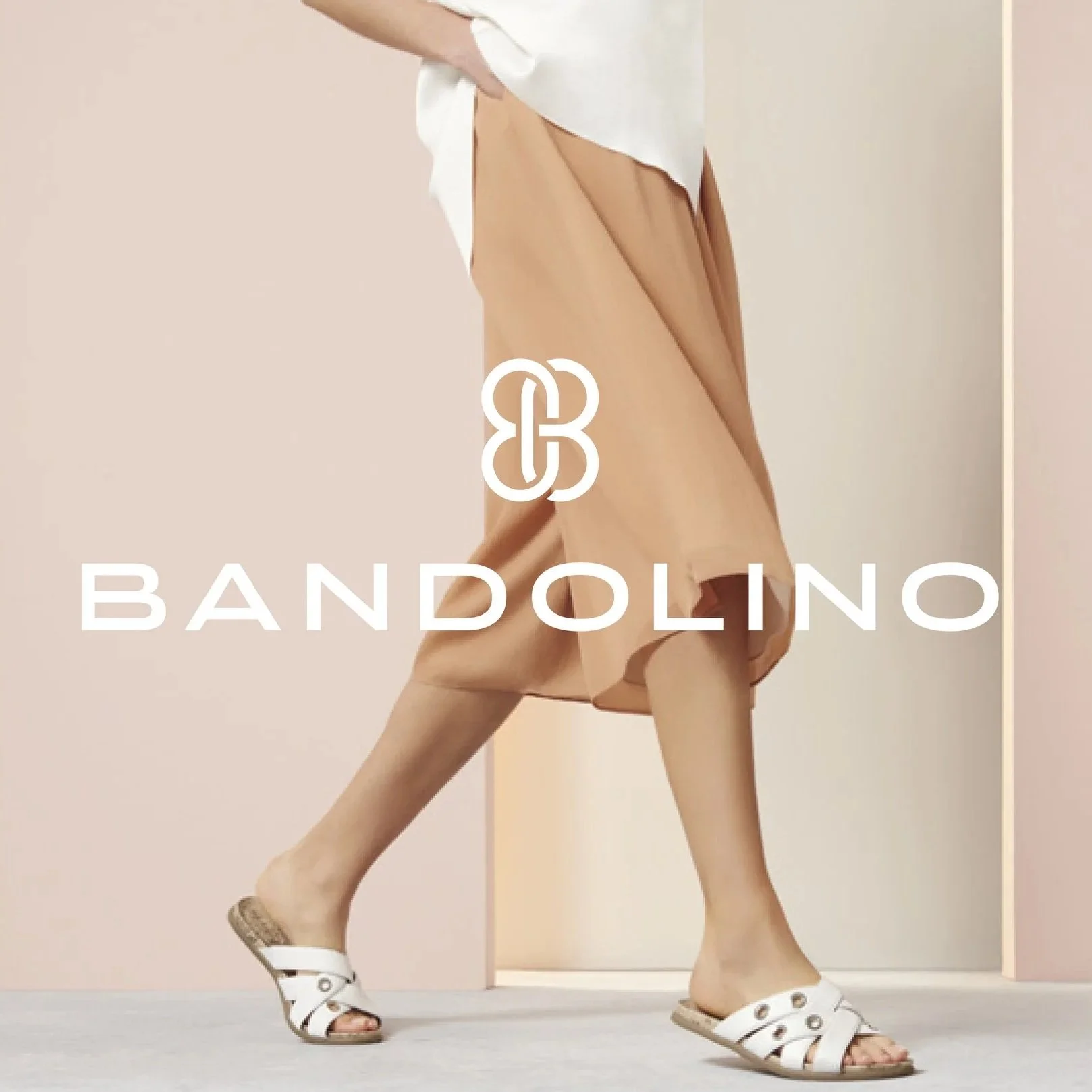 BANDOLINO4.jpg