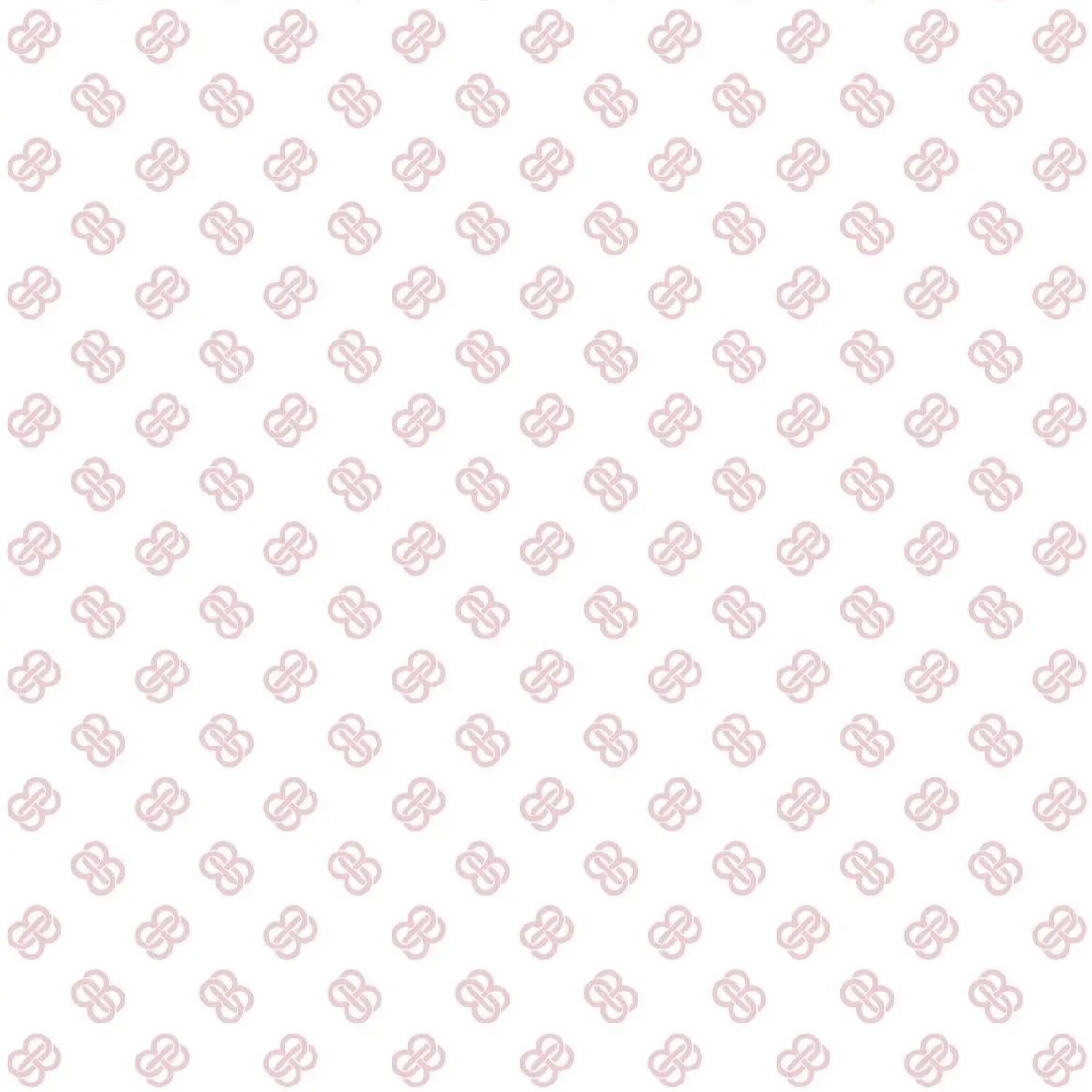 BANDOLINO IDENTITY FINAL_SELECTED ART_Page_14.jpg