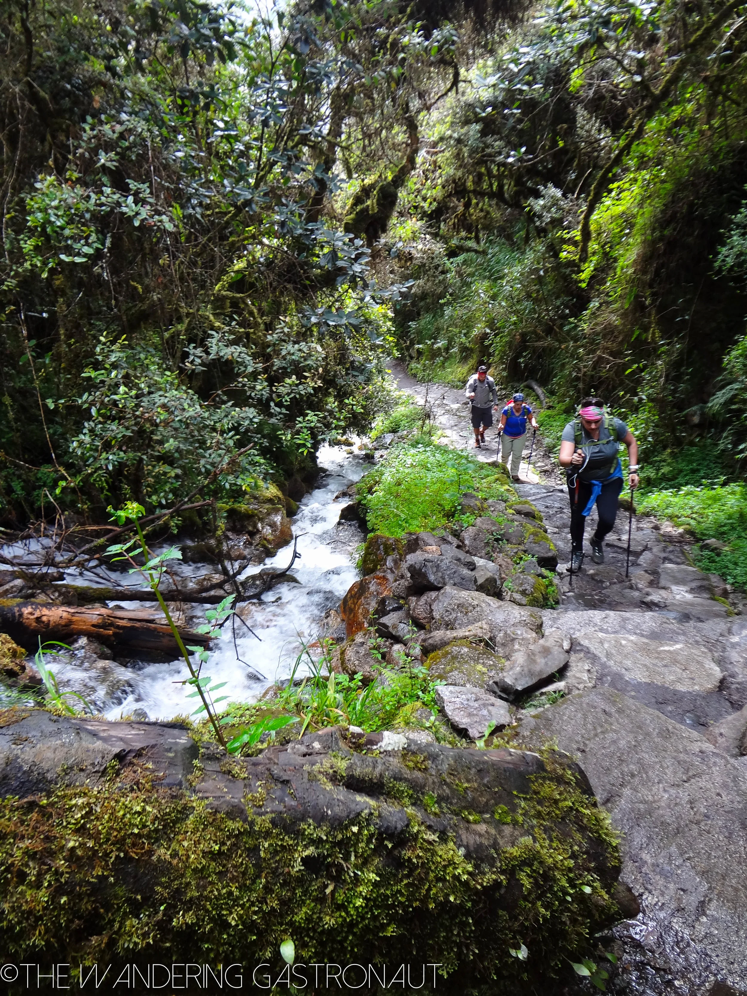 Peru // The Inca Trail: Part Two
