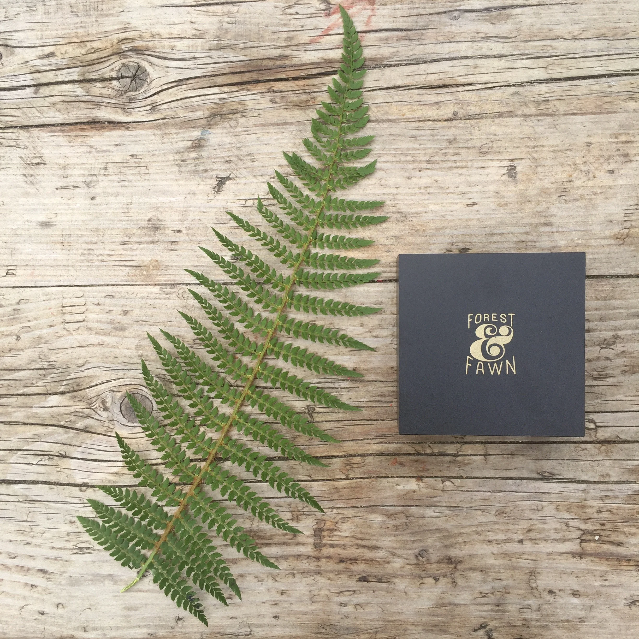 Forest and Fawn gift box