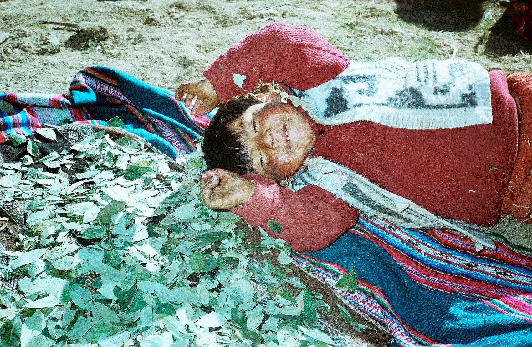 Child and Coca, Ausangate (2007)