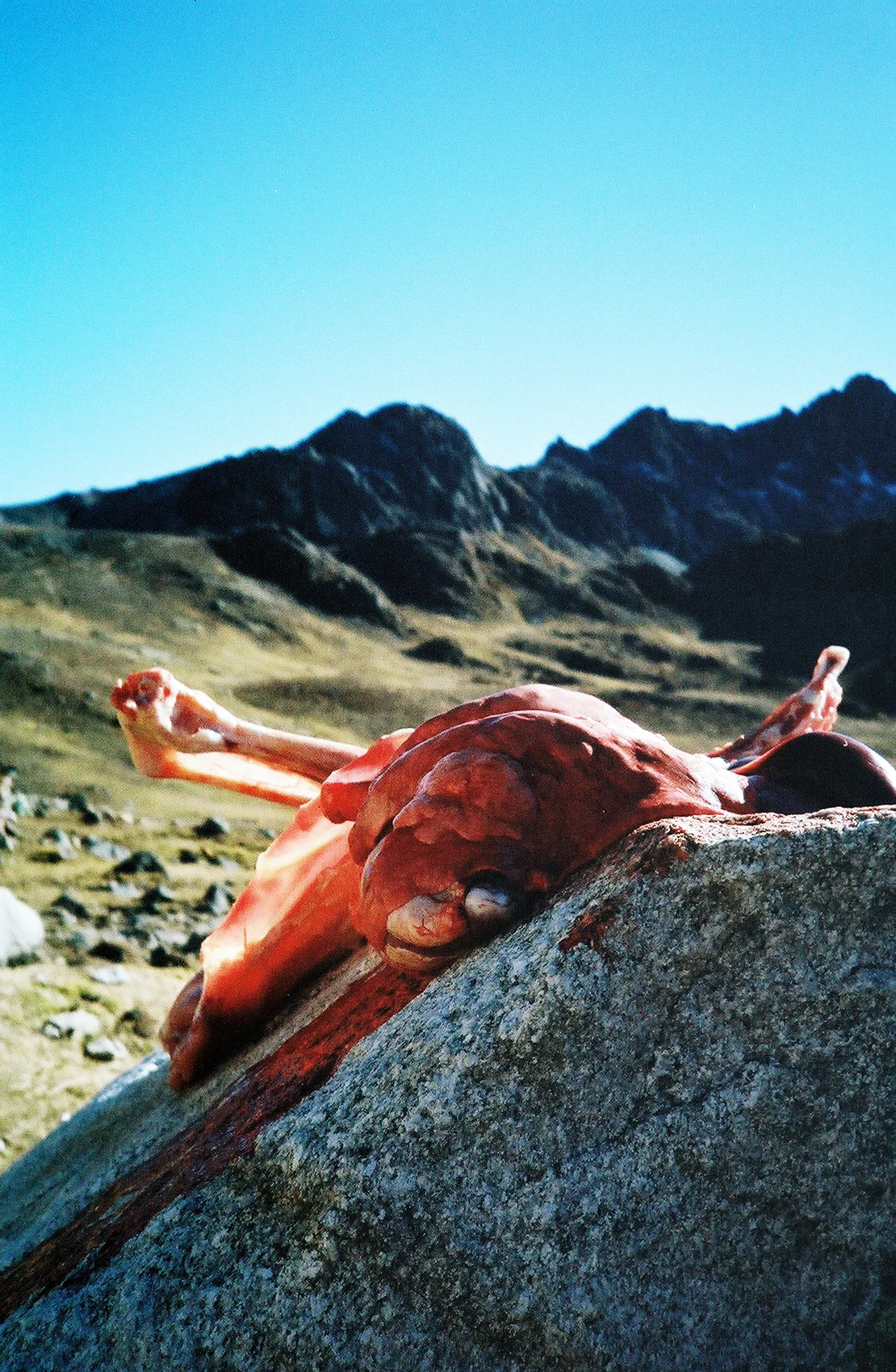 Alpaca Parts, Nación Quero (2007)