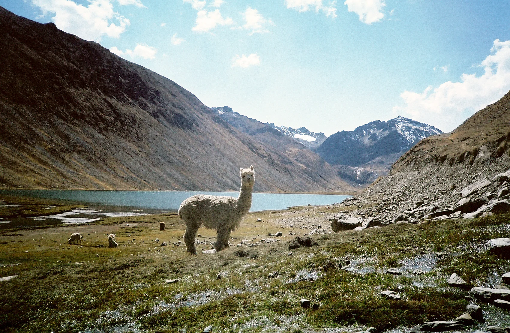 Peru (2007)