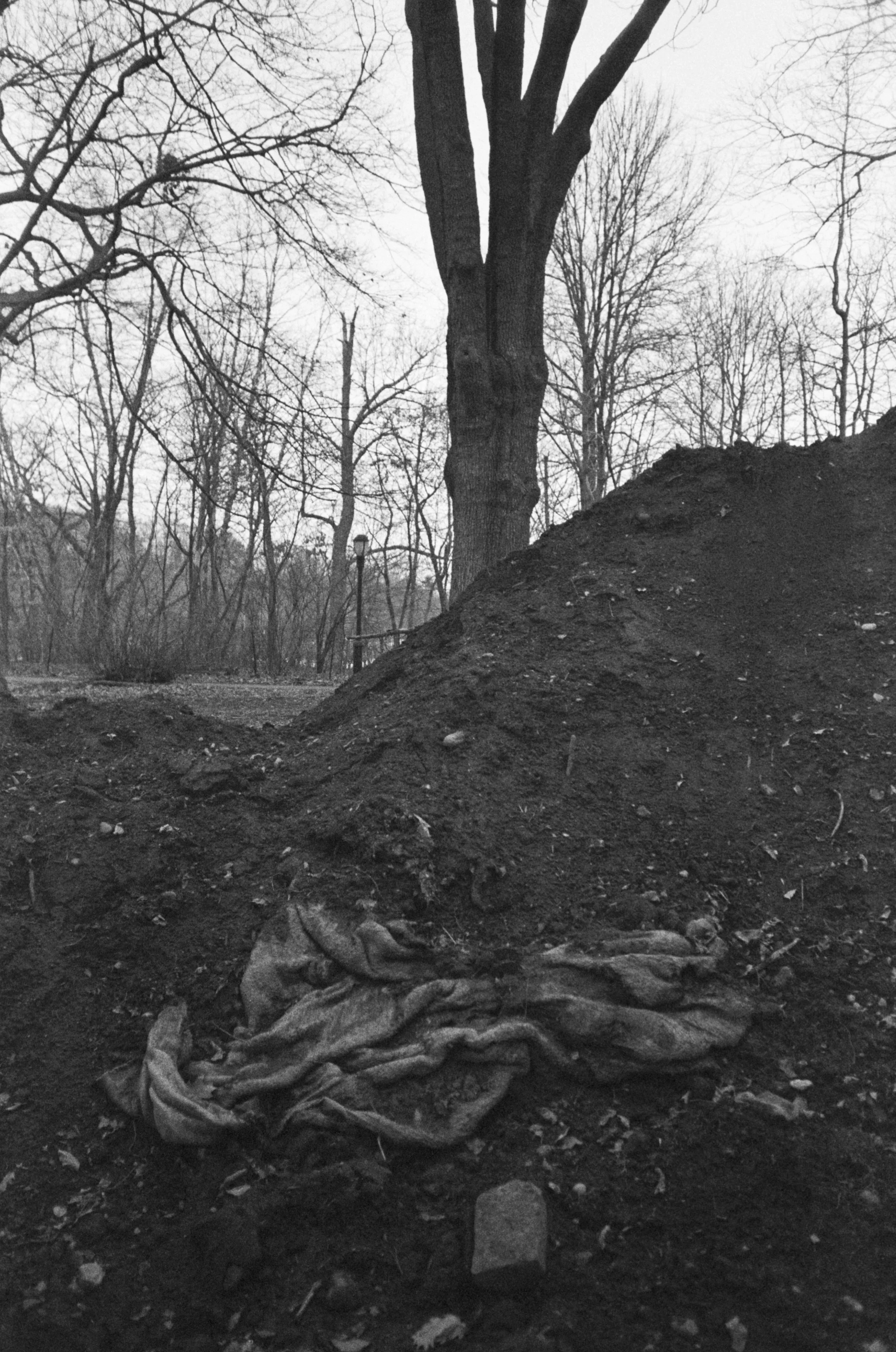 Prospect Park, BK (2016)