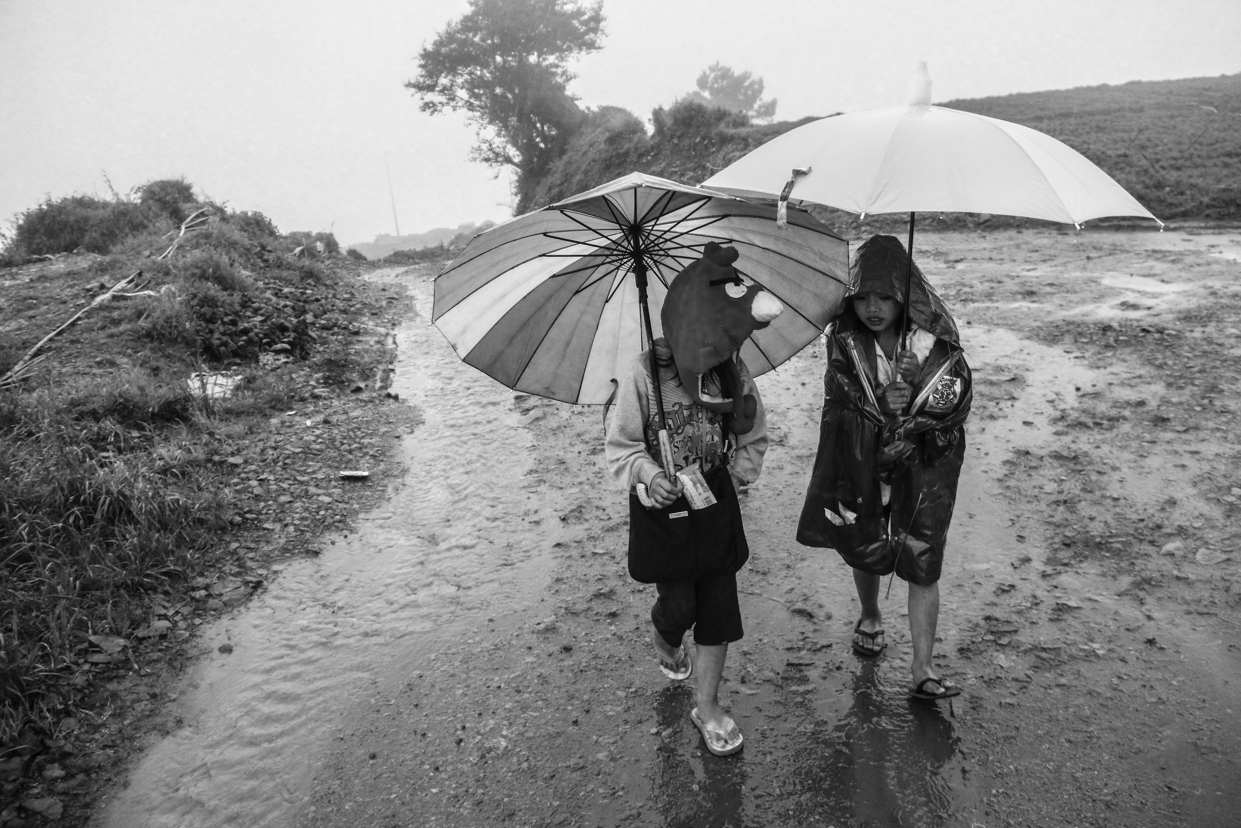 A student of Mt. Pulag Elementary School walks to school. Most students normally takes two to three hours to reach their respective schools. Kabayan, Benguet