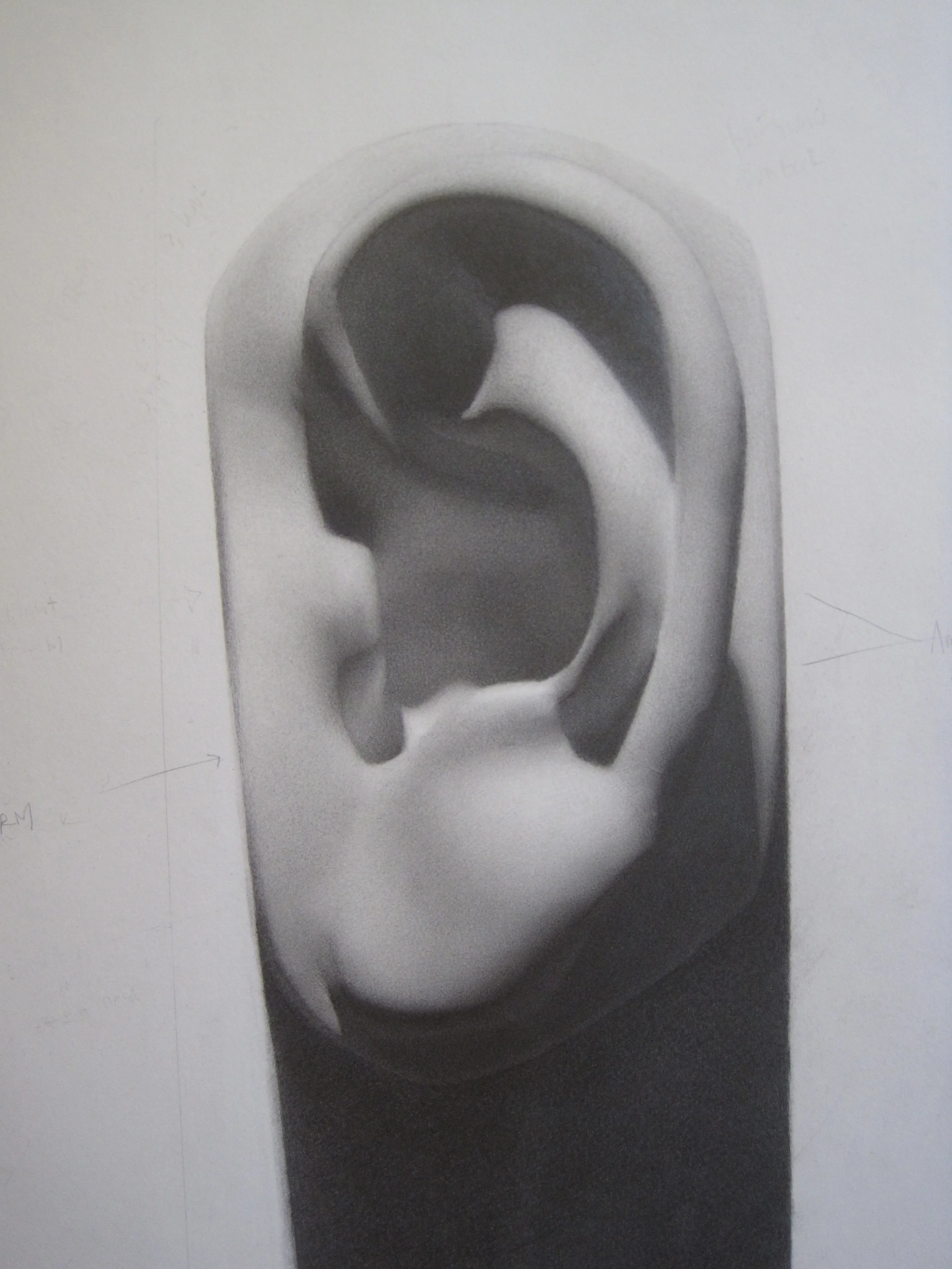 Cast Drawing 2 in Pencil
