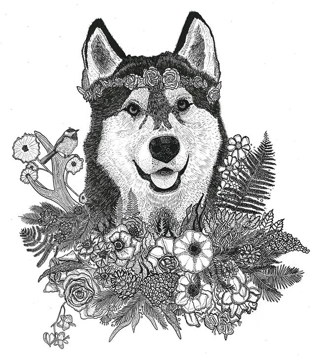 My plans for #inktober fell through as I spent the majority of my drawing time last month on this #siberianhusky #commission piece. If you&rsquo;re interested in some custom work hit the DM. I&rsquo;ll have some time available for the right projects 