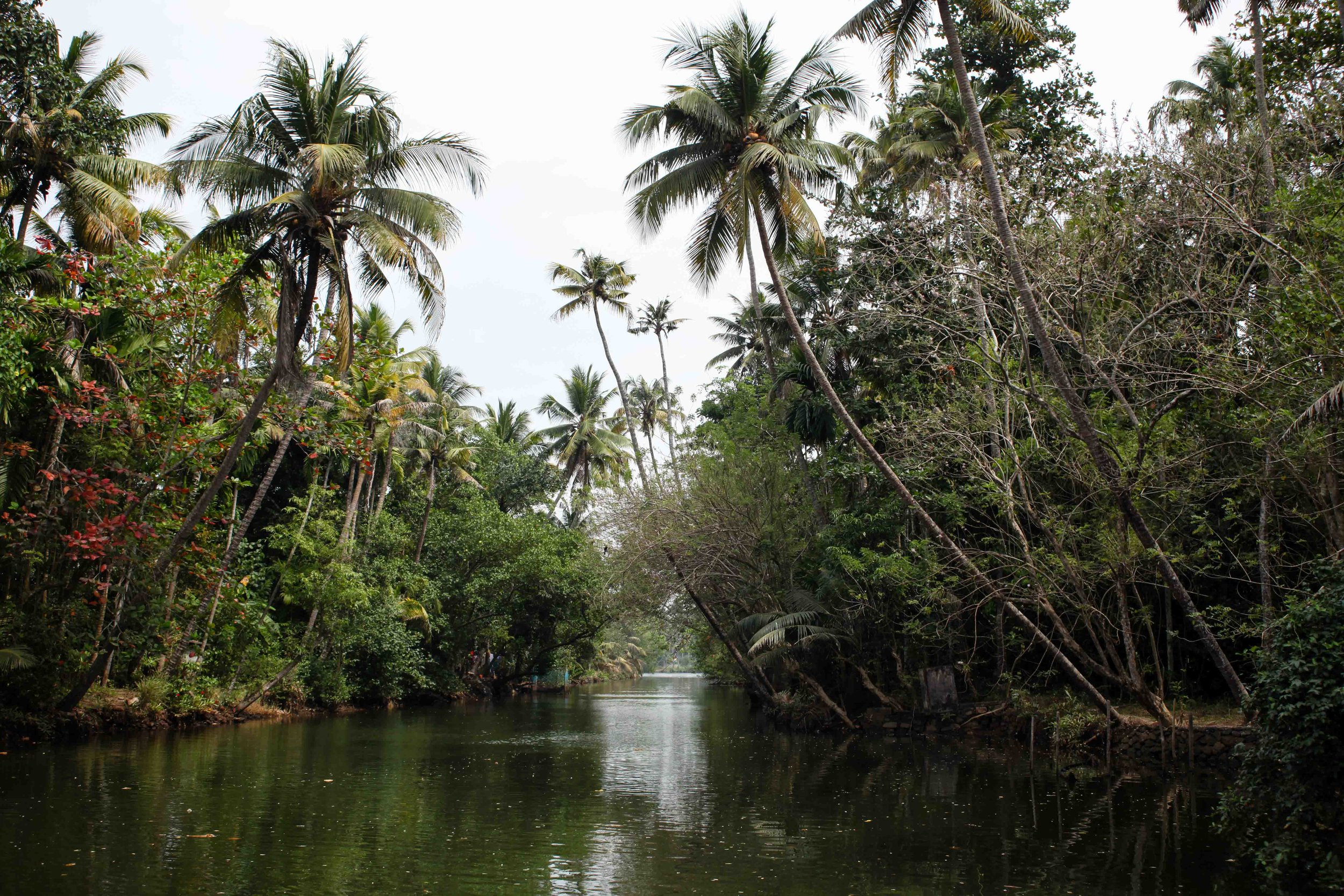 Backwaters