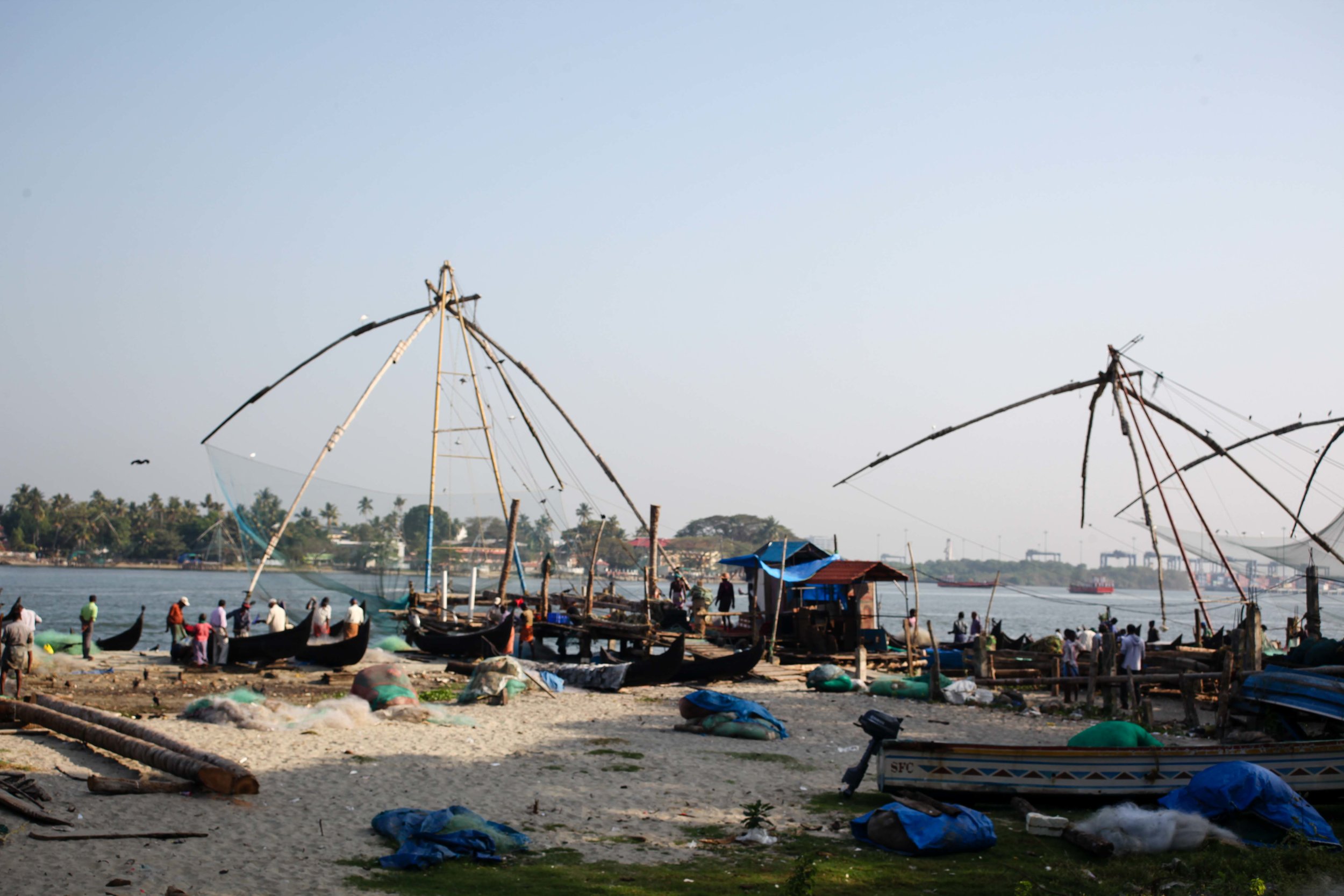 Getting early also means you get to see the fish markets in full action.