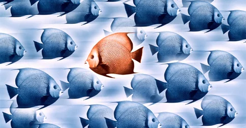 What You Resist Will Persist