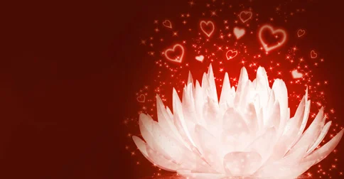 The Need for Attention