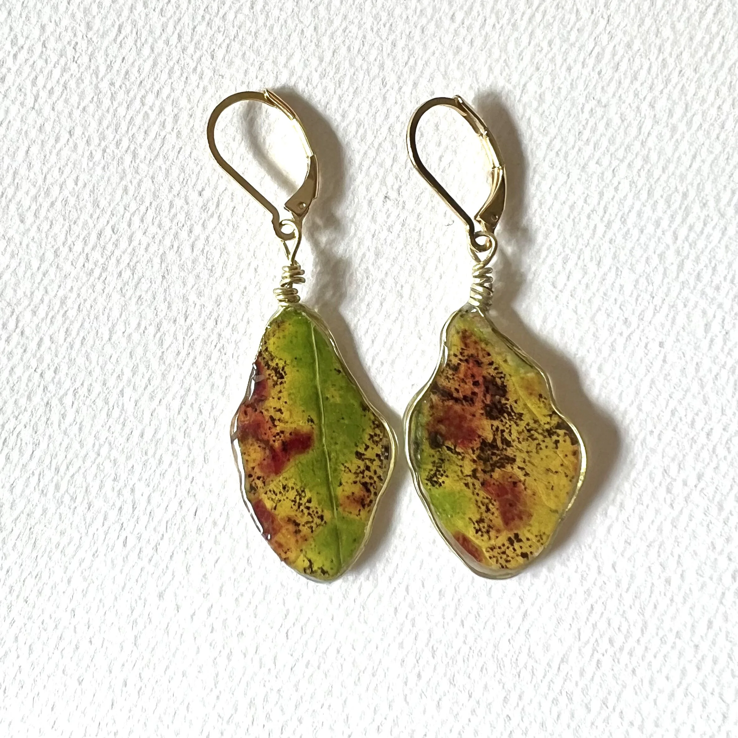 86FE0EE1-E654-4CCE-A34D-B1B61E344745