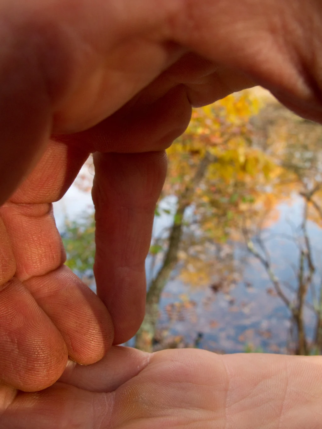 Fingers, #50 , 2010, 43" x 34", Pigment print