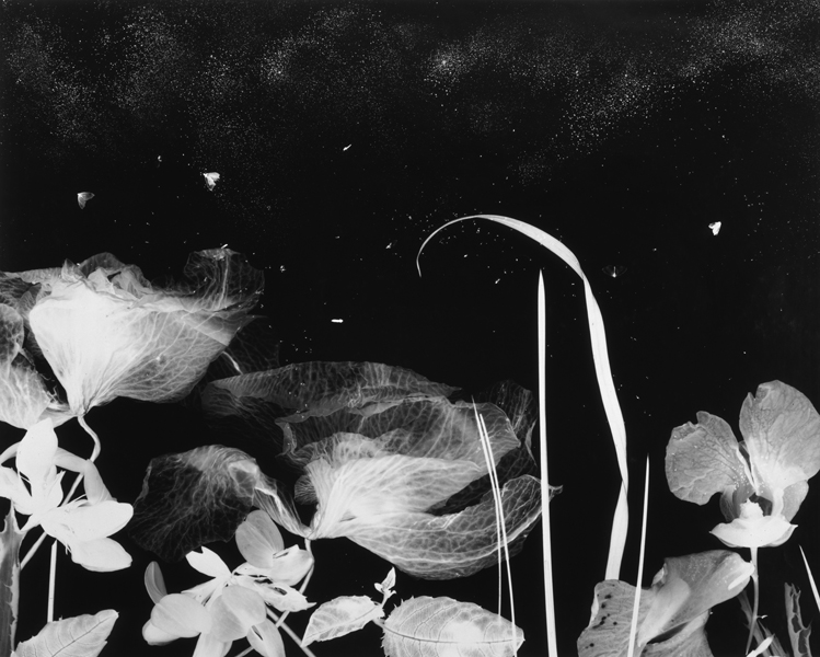 A night landscape , 2000, 30" x 40", Unique Silver print