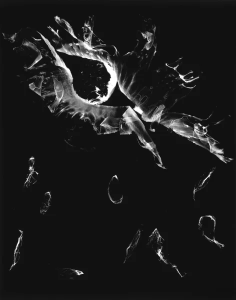 Pieces , 2000, 40" x 30", Unique Silver print