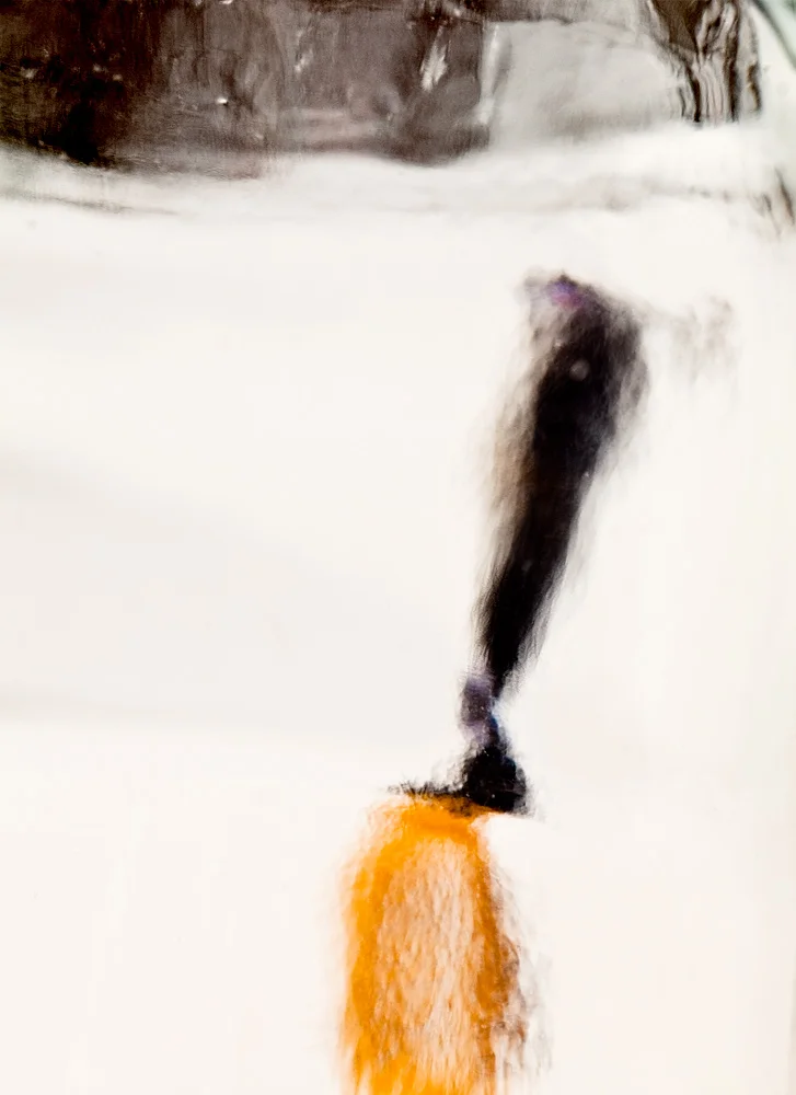 Snowboarder 2017, 34" X 23", Pigment Print