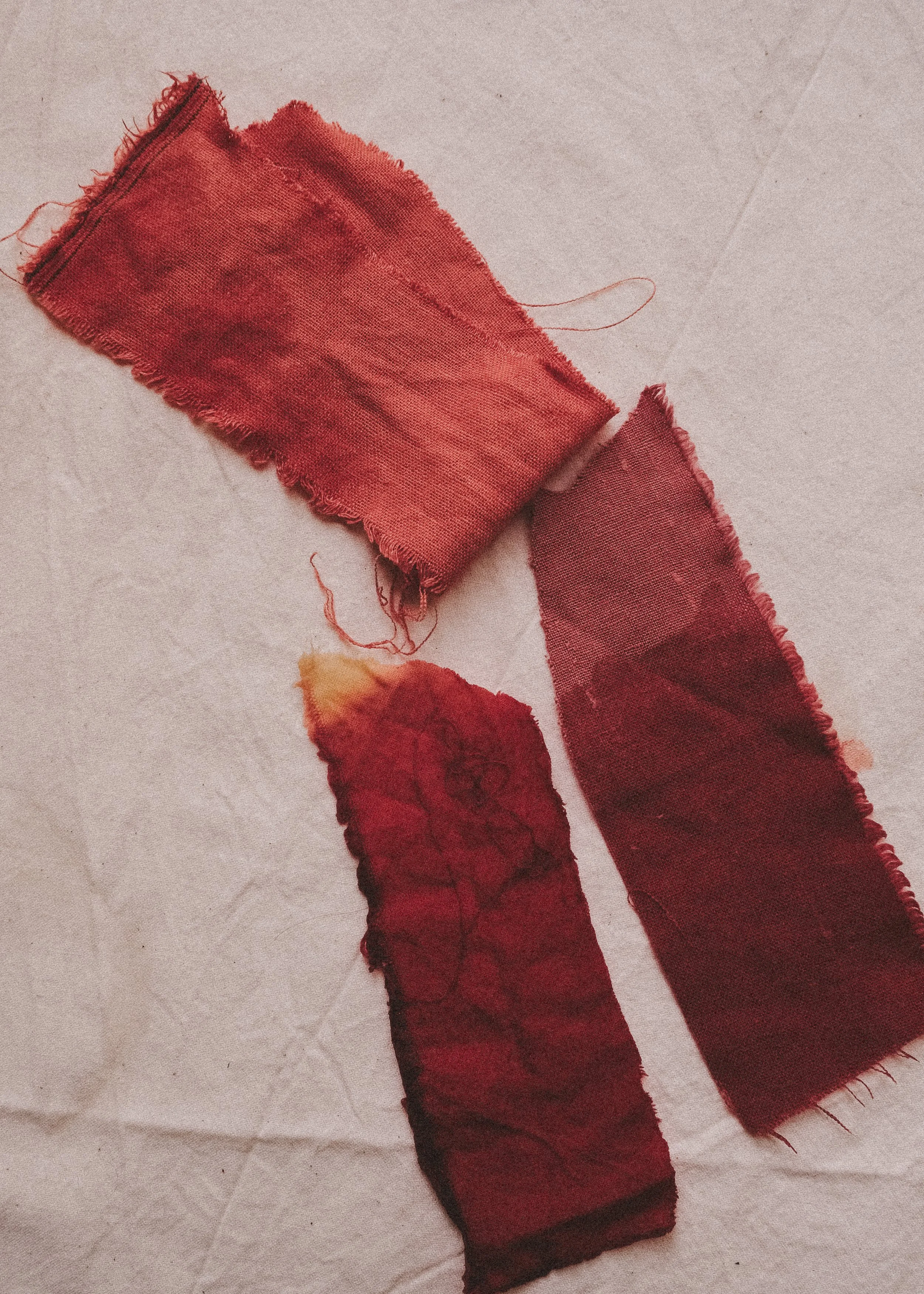 Madder Dying Process Edits-5183.jpg