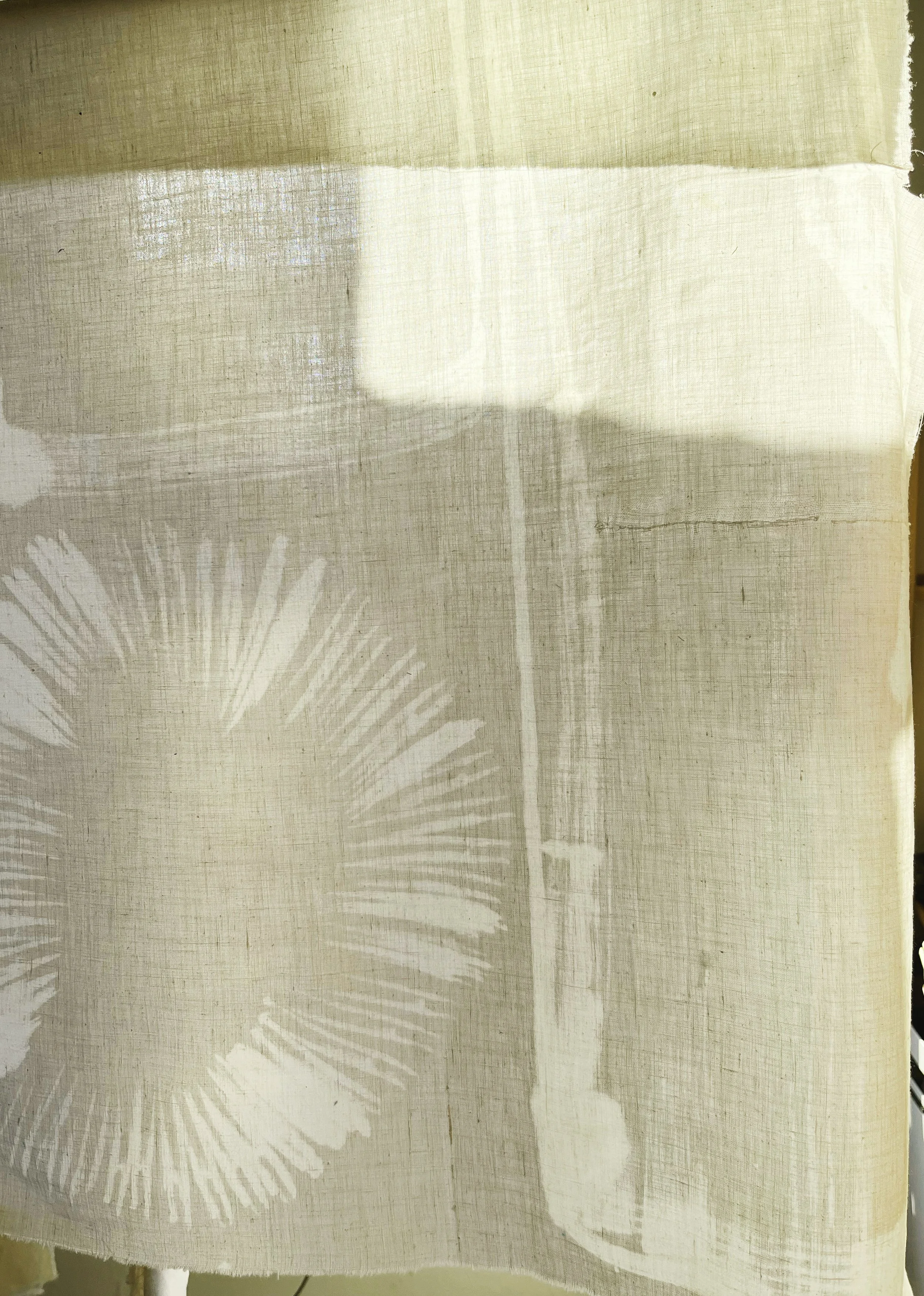 AfterlightImage 6.jpg