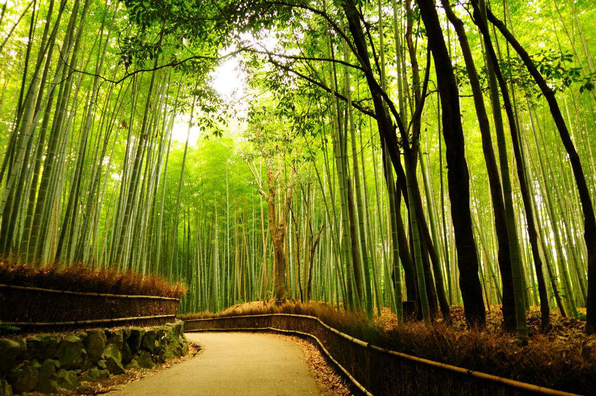 arashiyama kyoto japan .jpeg