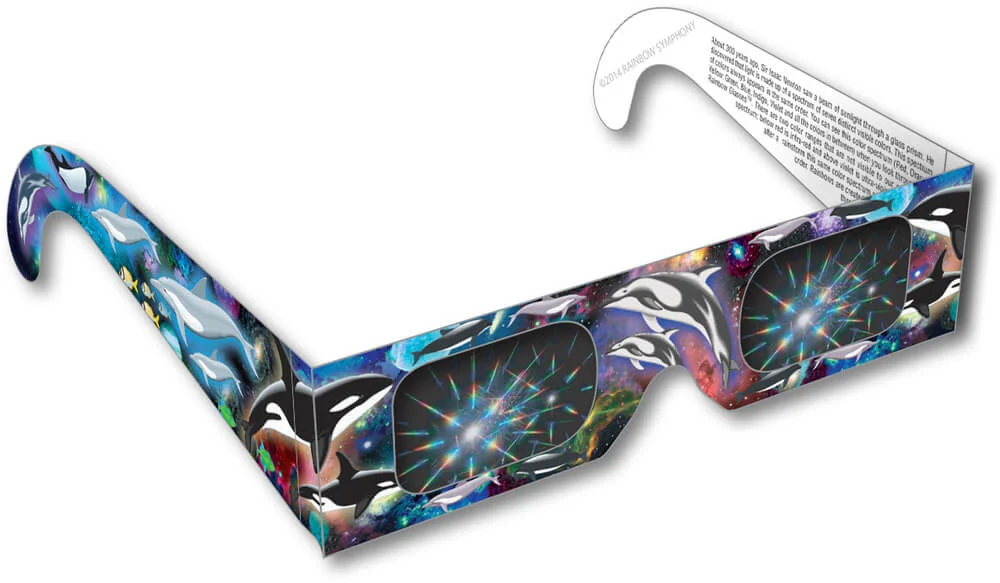Dolphin Rainbow Glasses     Shop Here