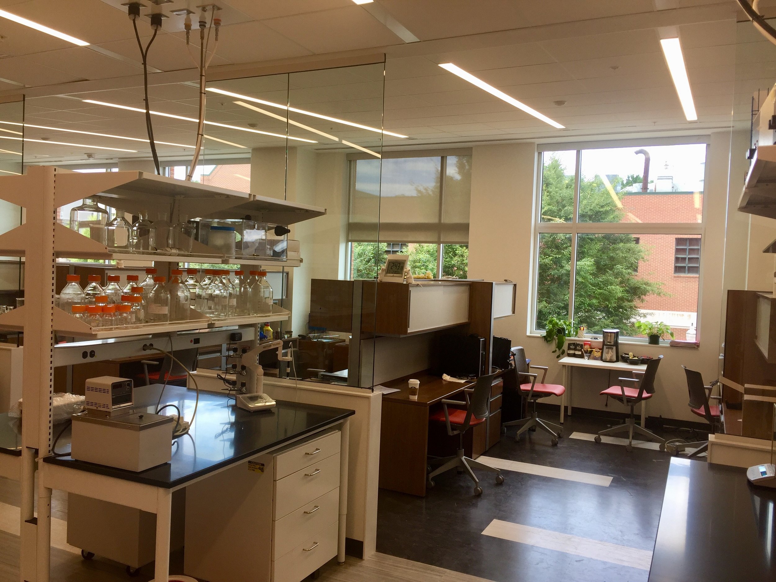 New lab in Mossman June 2018!