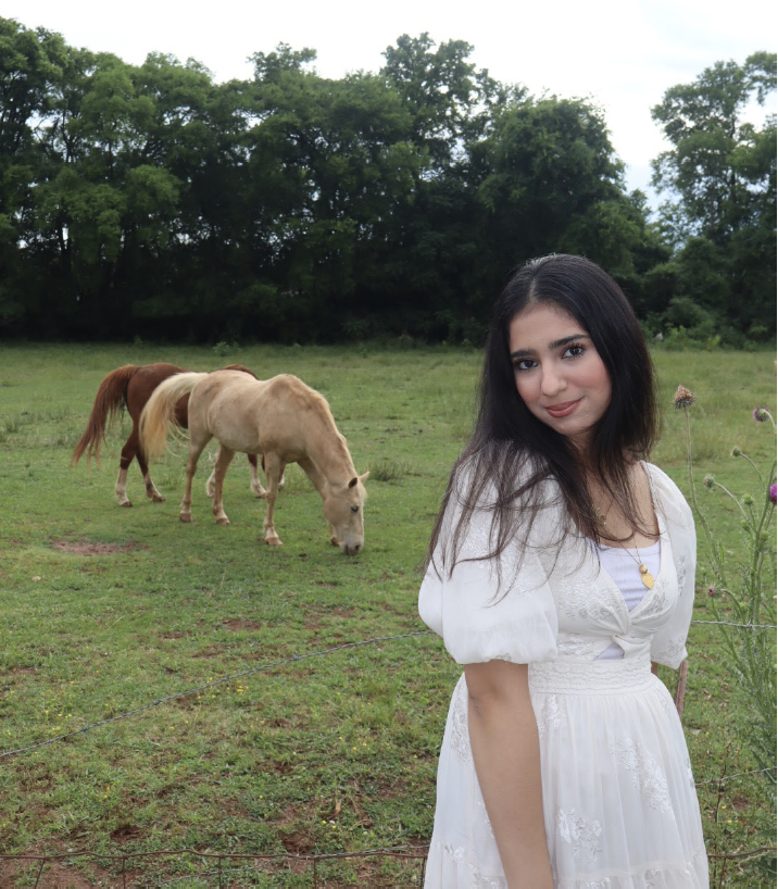Ula Abdulhussain