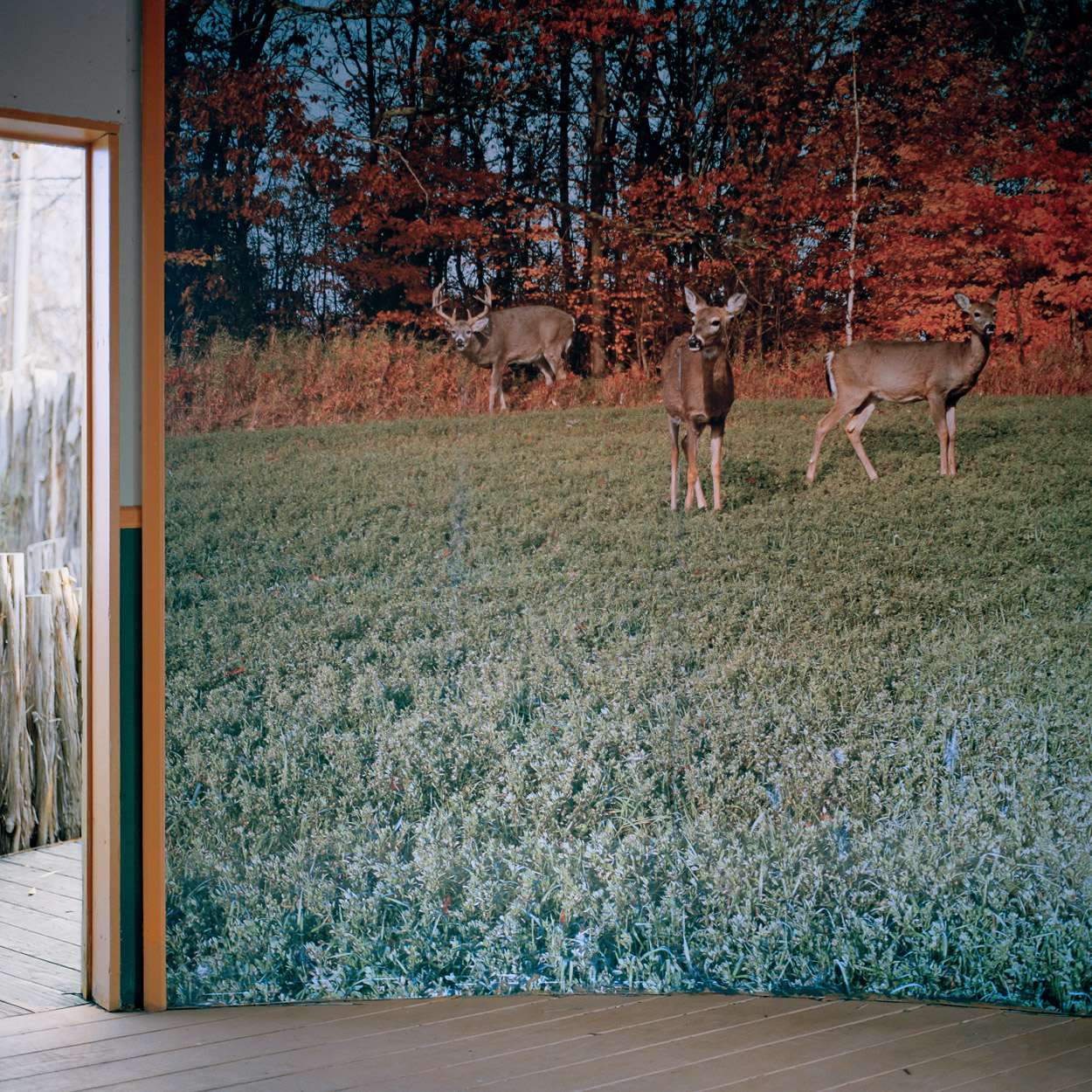 Deer Viewing Gazebo