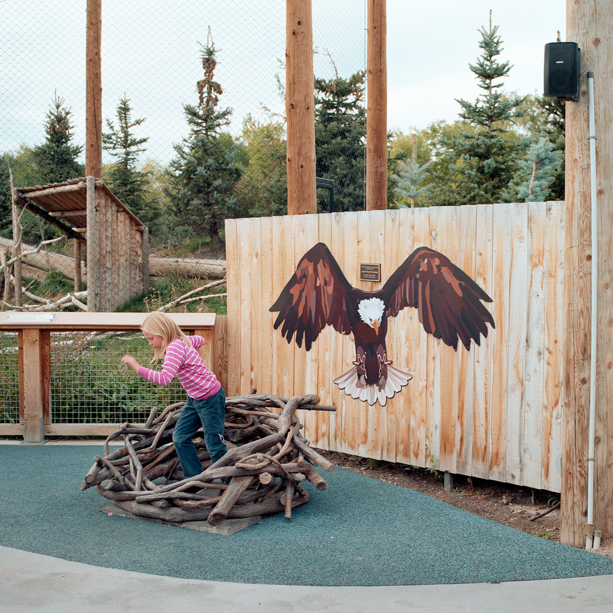 Eagle Exhibit