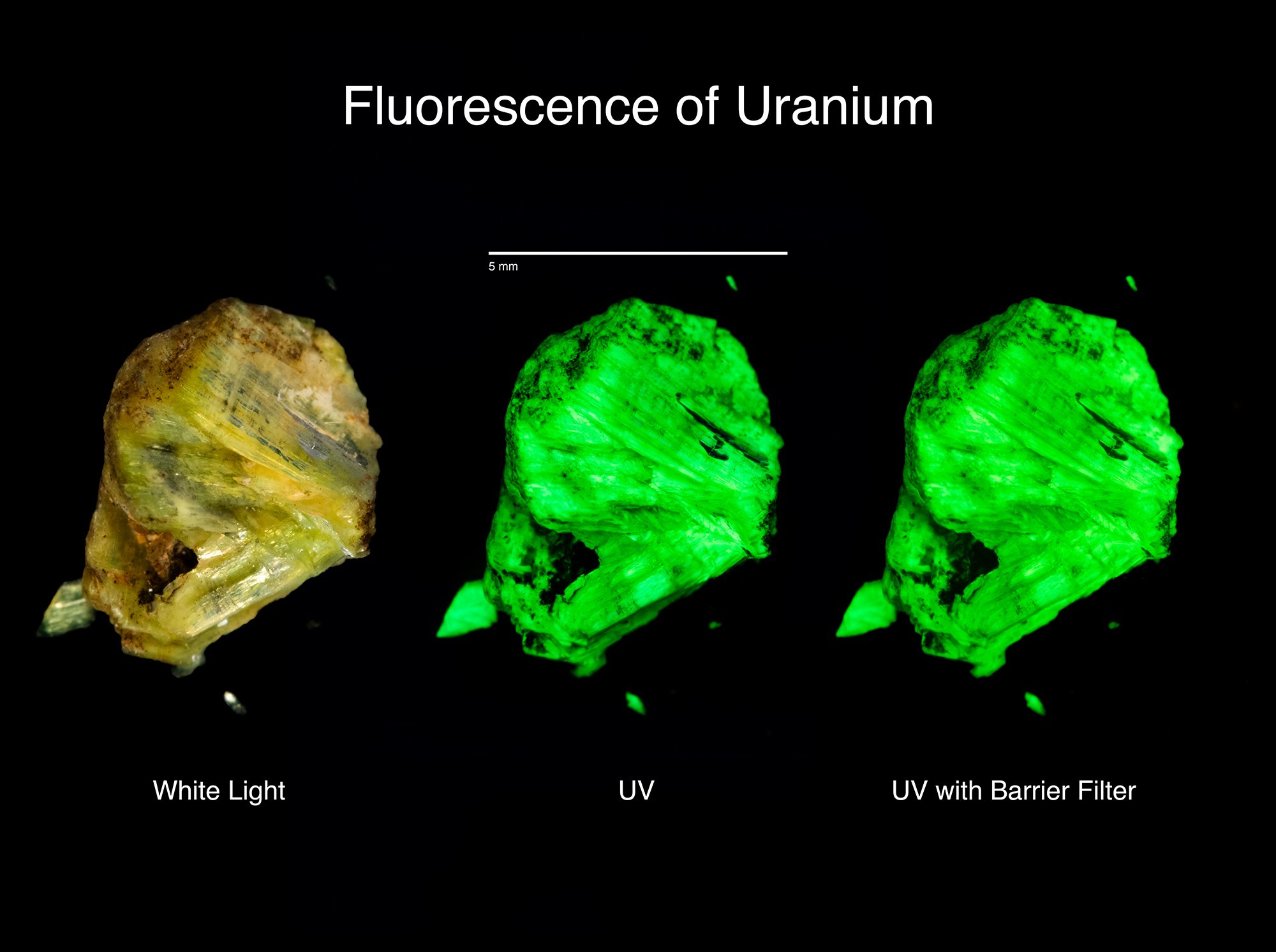 uranium_fluorescence.jpg