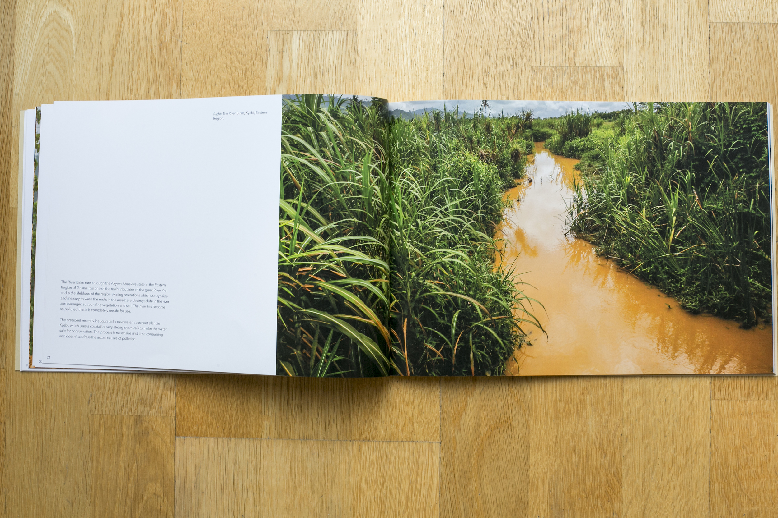 Gold fever book-16.jpg