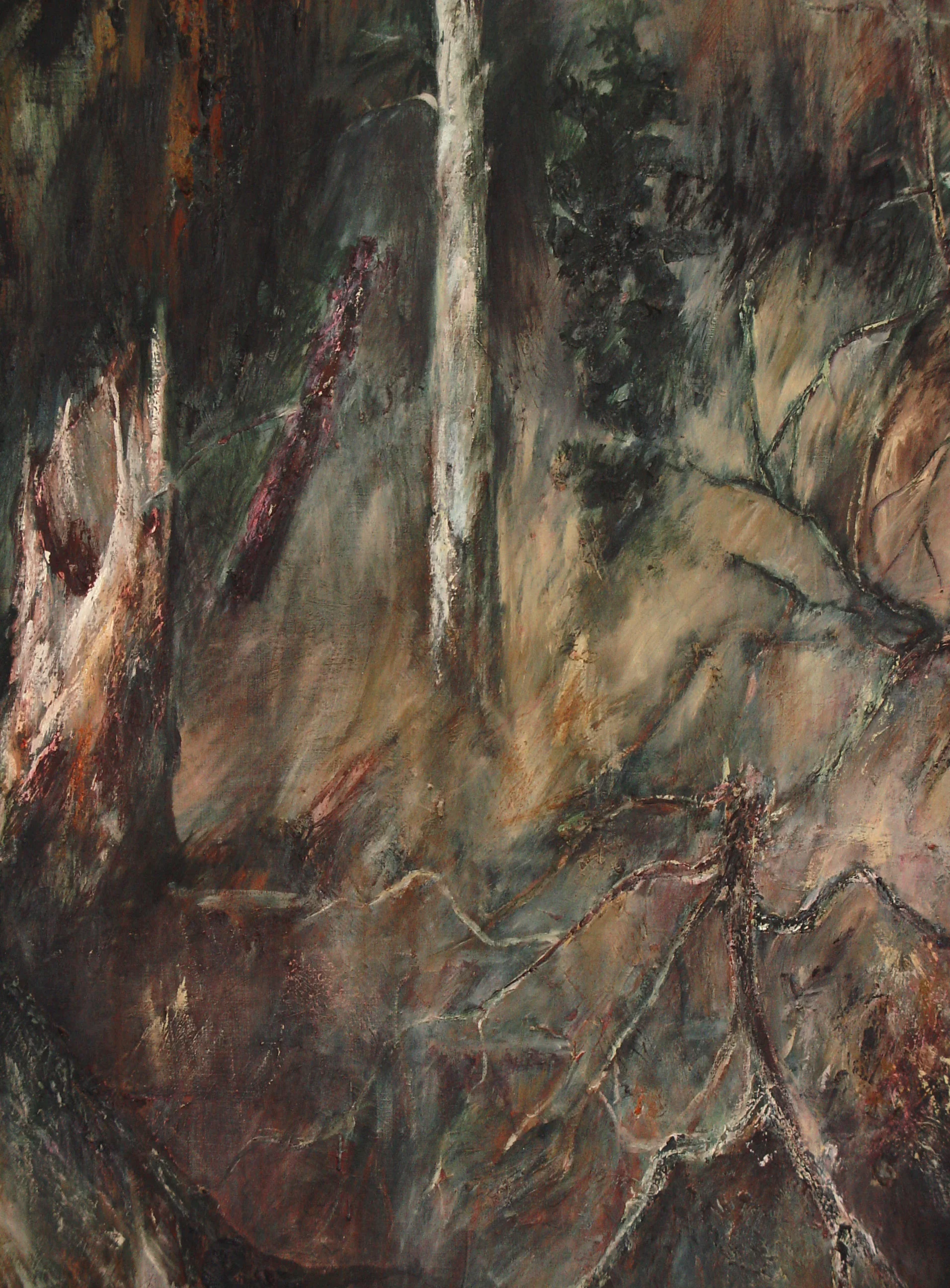 Northern Landscape