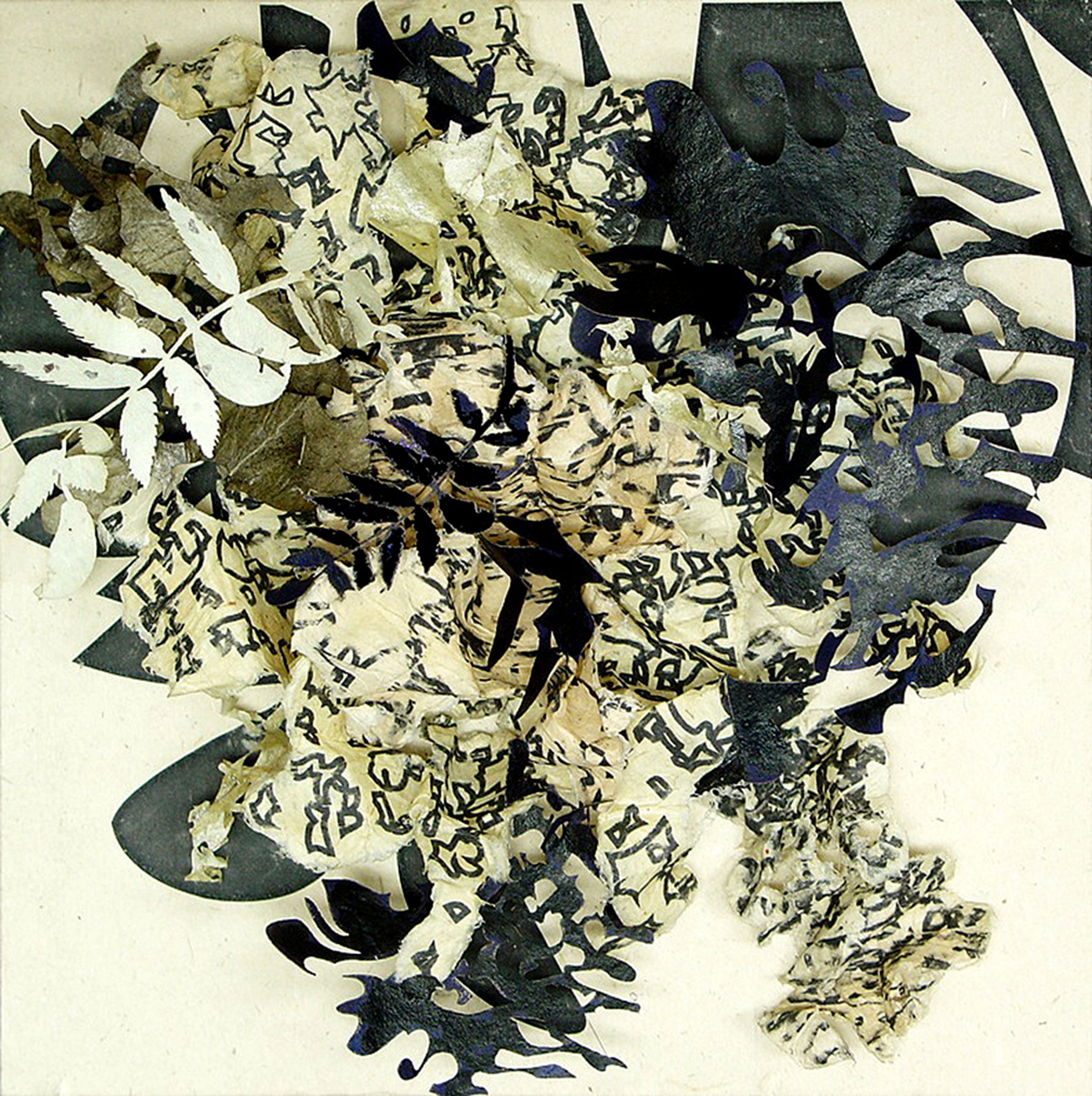 Leaves and Seeds Series