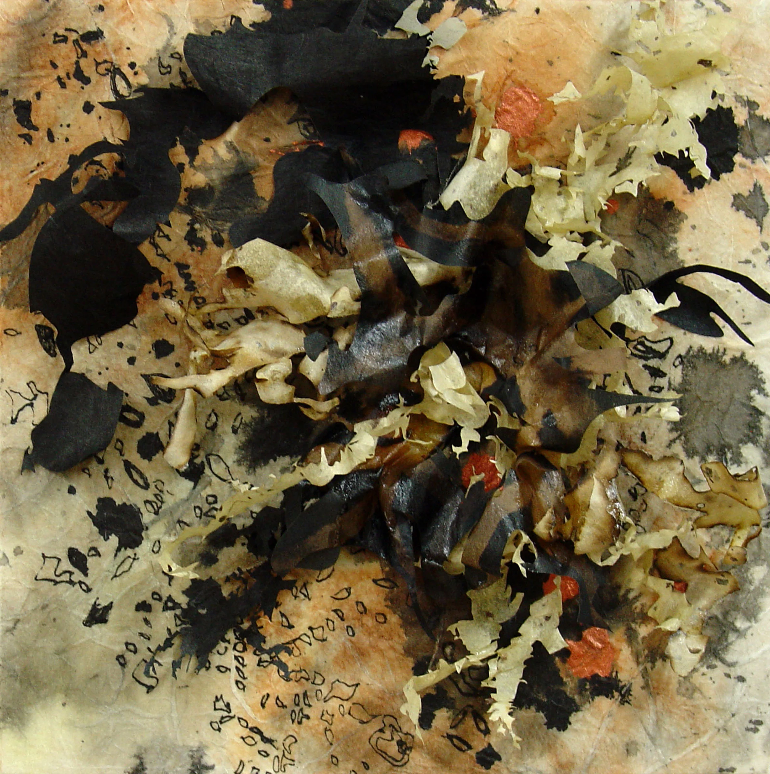 Falling Leaves Series