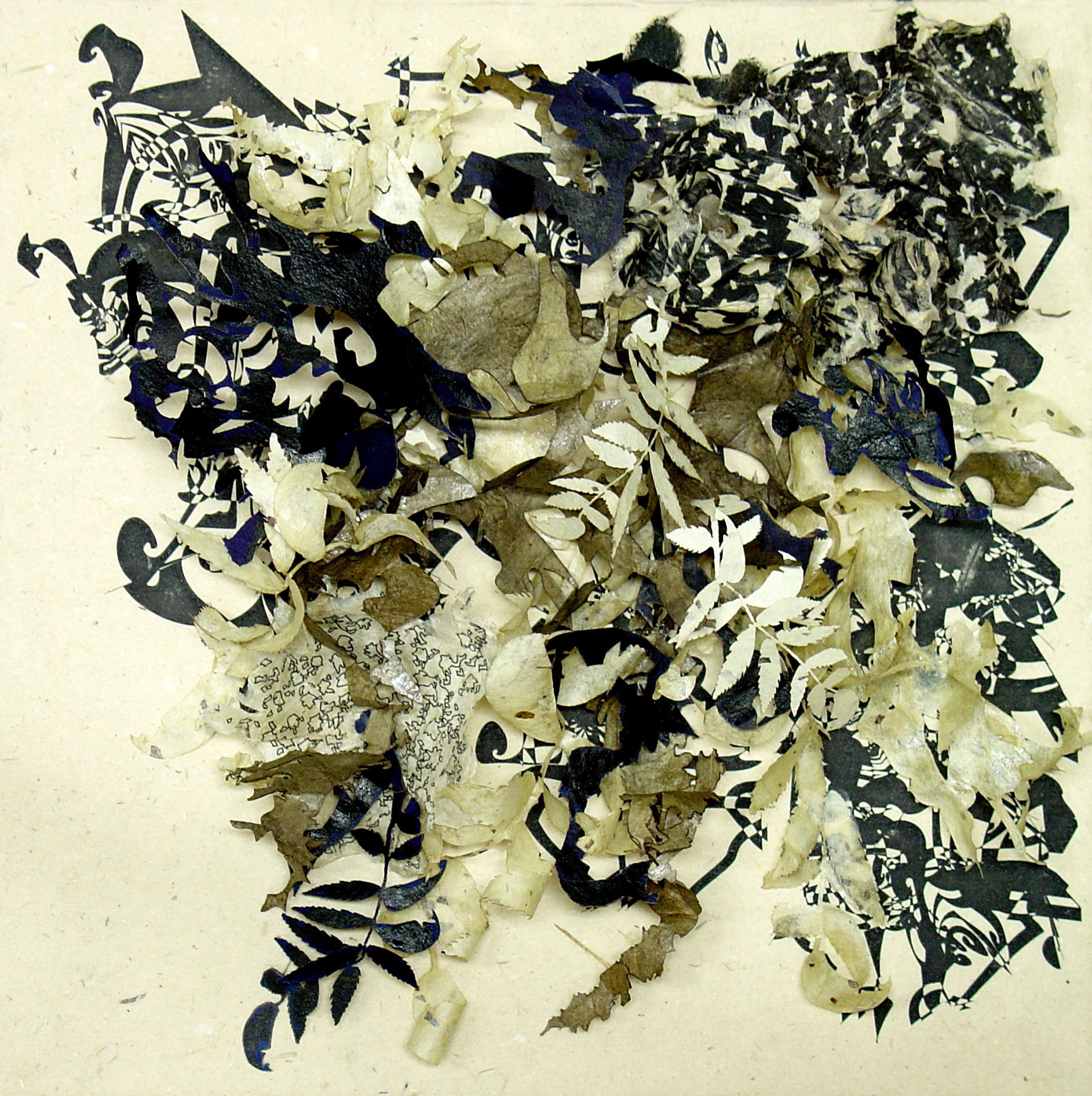 Leaves and Seeds Series