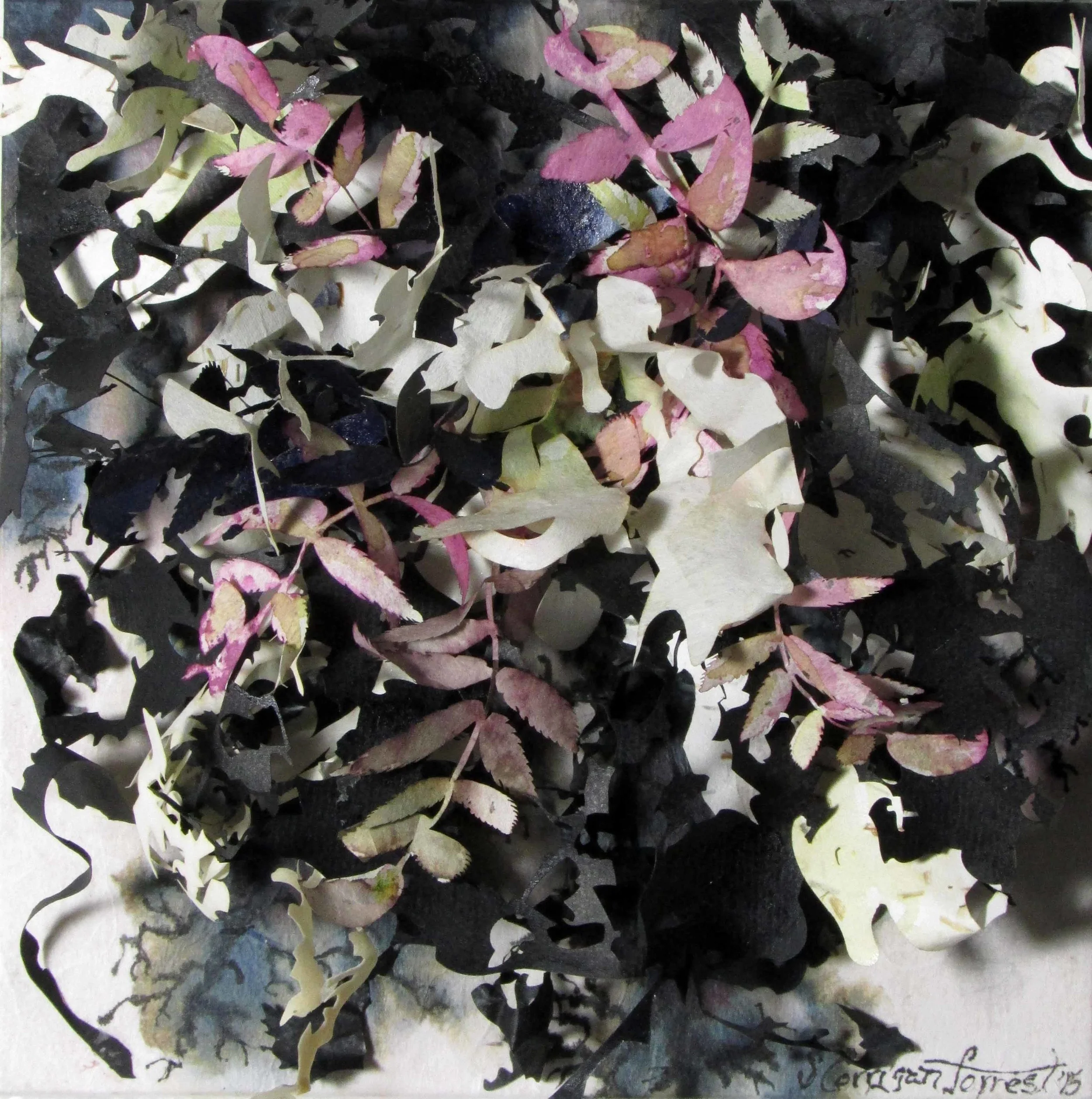 Lichen & Leaves Series