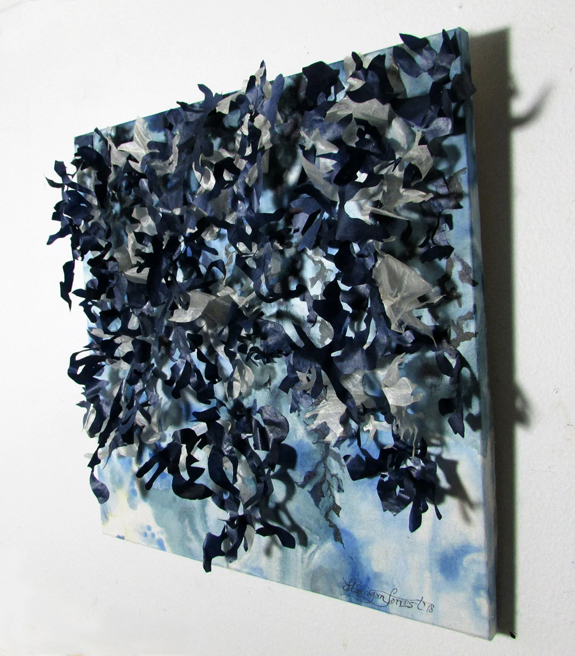 Blue Series